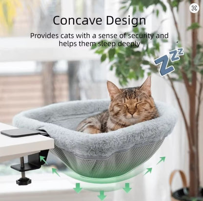 Catlounge Cloud