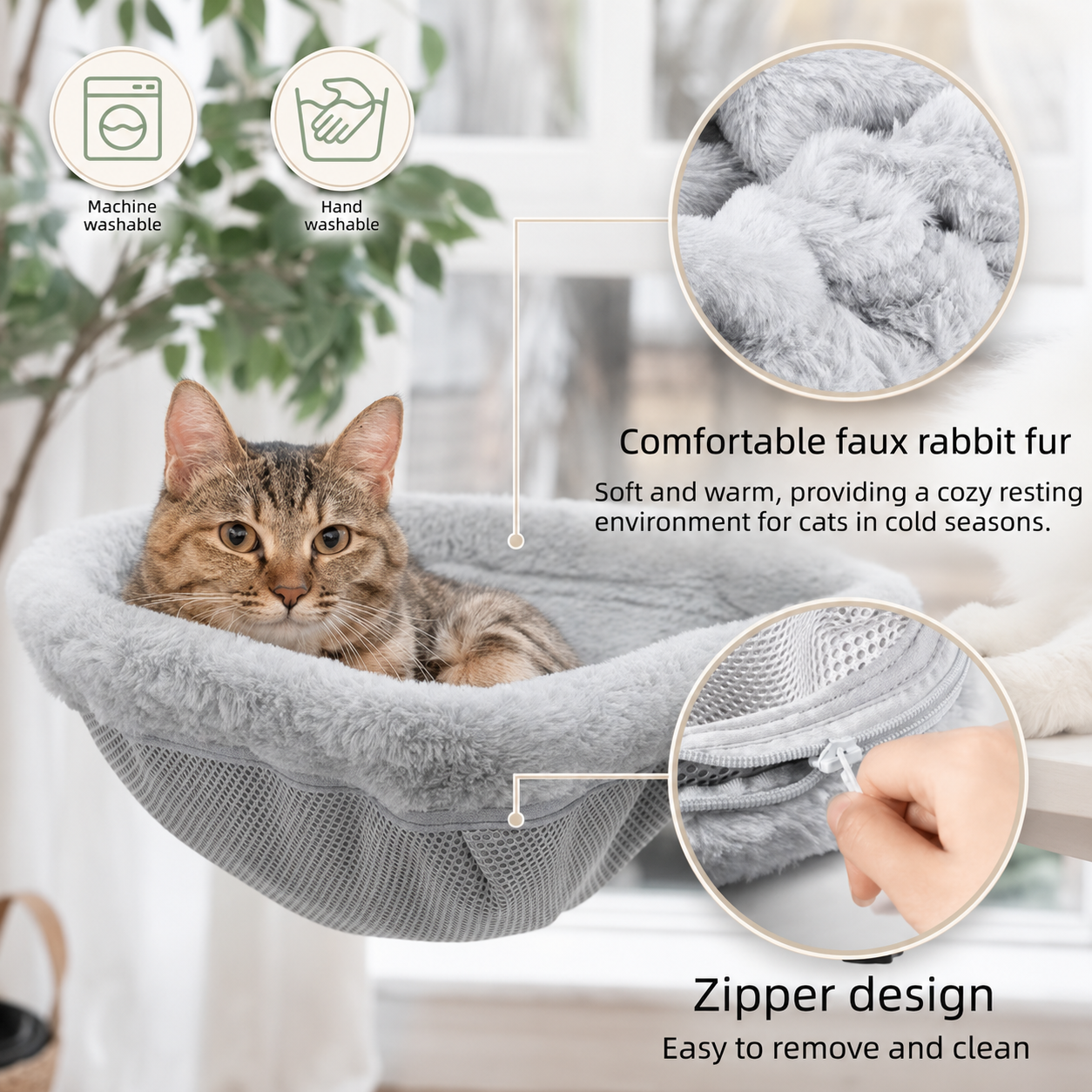 Catlounge Cloud